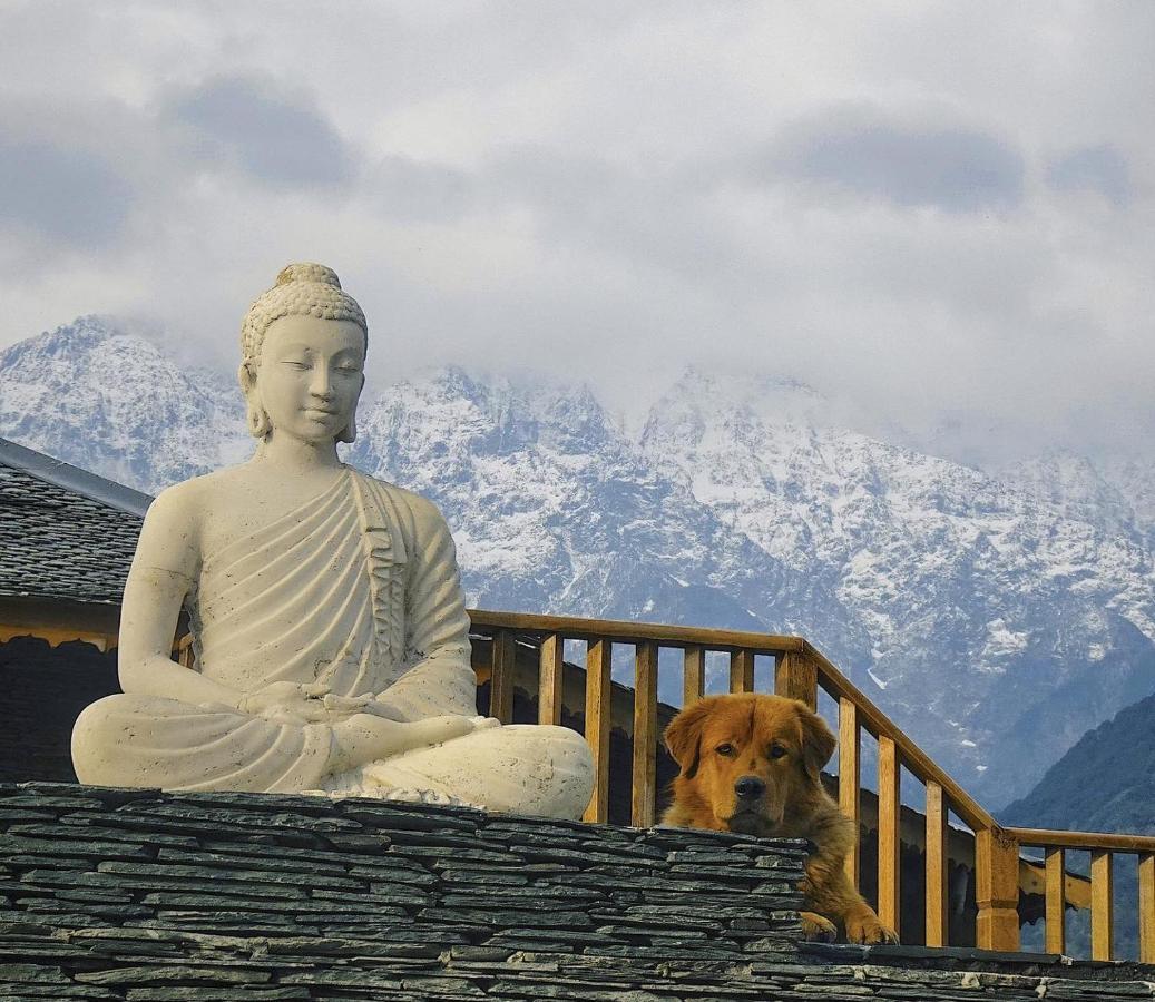 Osho Himalayas Wellness Resort Kangra Εξωτερικό φωτογραφία